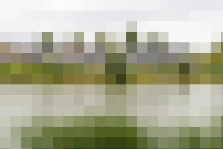 Kleine Hof 27 Vleuten thumbnail 28