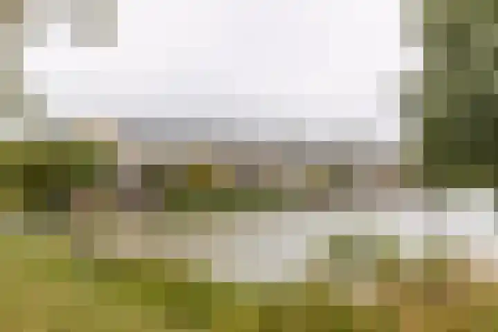 Kleine Hof 27 Vleuten thumbnail 29