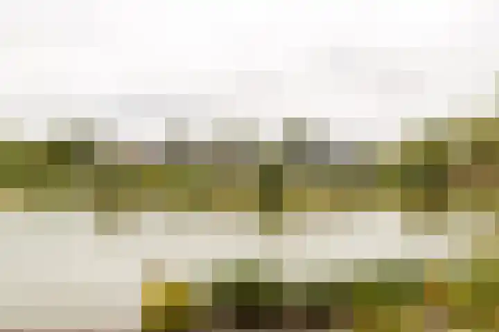 Kleine Hof 27 Vleuten thumbnail 30