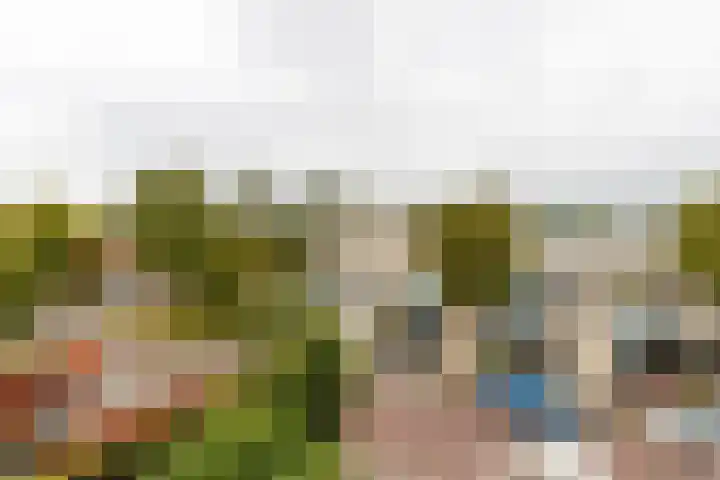 Kleine Hof 27 Vleuten thumbnail 31