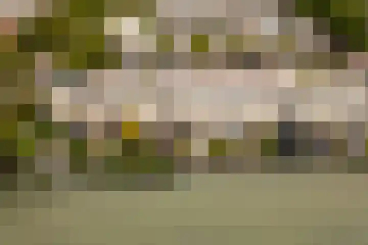Kleine Hof 27 Vleuten thumbnail 32