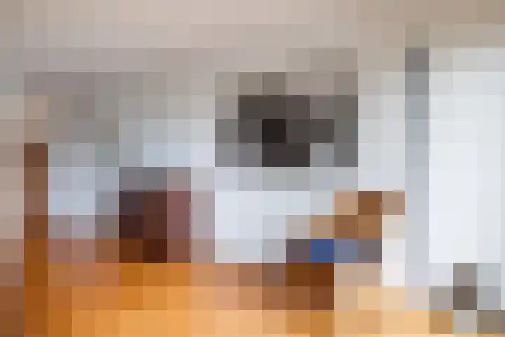 Kleine Hof 27 Vleuten thumbnail 7