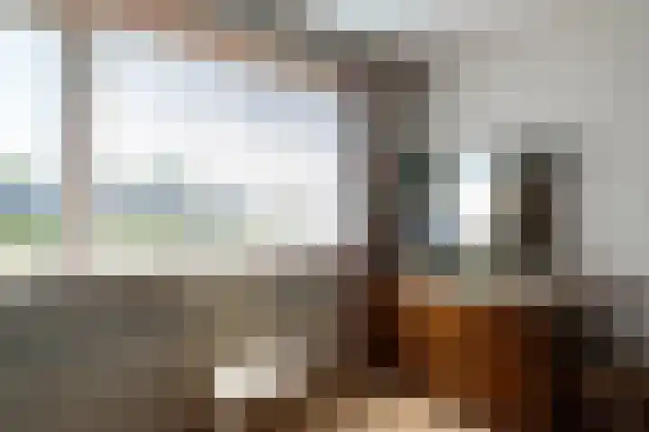 Kleine Hof 33 Vleuten thumbnail 11