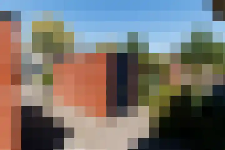 Kleine Hof 33 Vleuten thumbnail 21