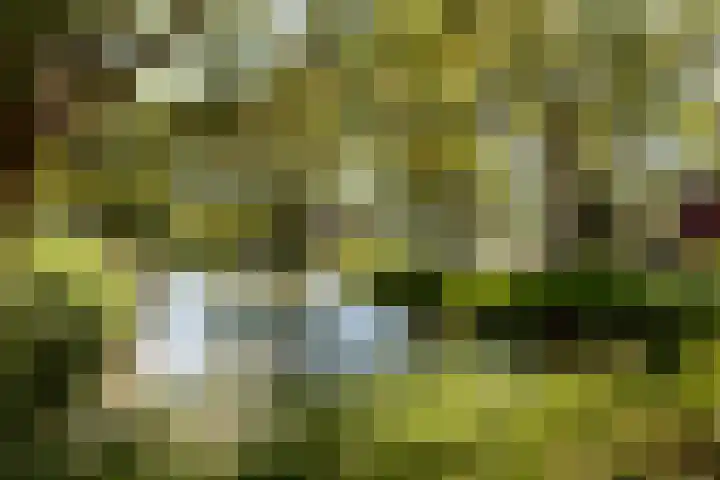 Kleine Hof 33 Vleuten thumbnail 22