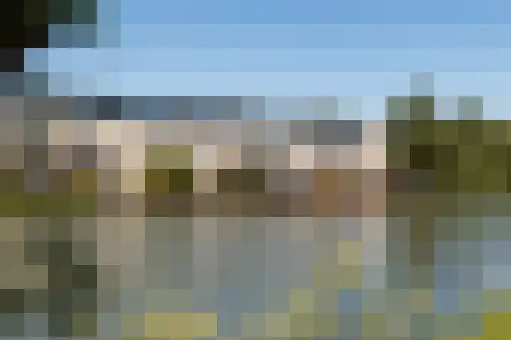 Kleine Hof 33 Vleuten thumbnail 24