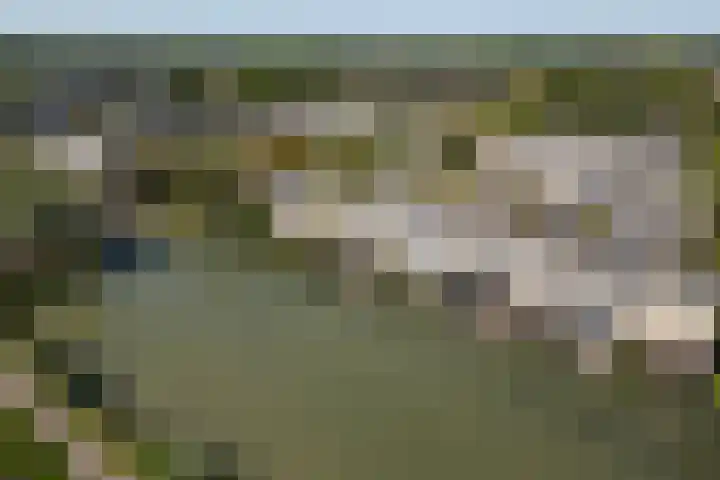 Kleine Hof 33 Vleuten thumbnail 27