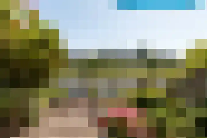 Kleine Hof 33 Vleuten thumbnail 8
