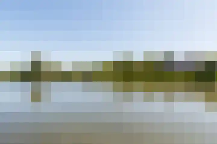 Kleine Hof 33 Vleuten thumbnail 9