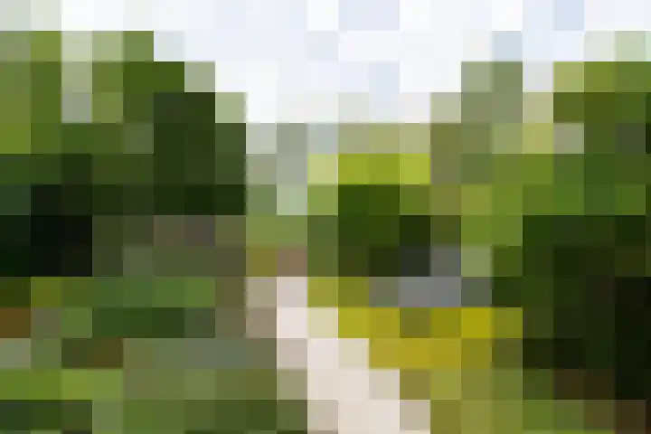 Kleine Hof 46 Vleuten thumbnail 10