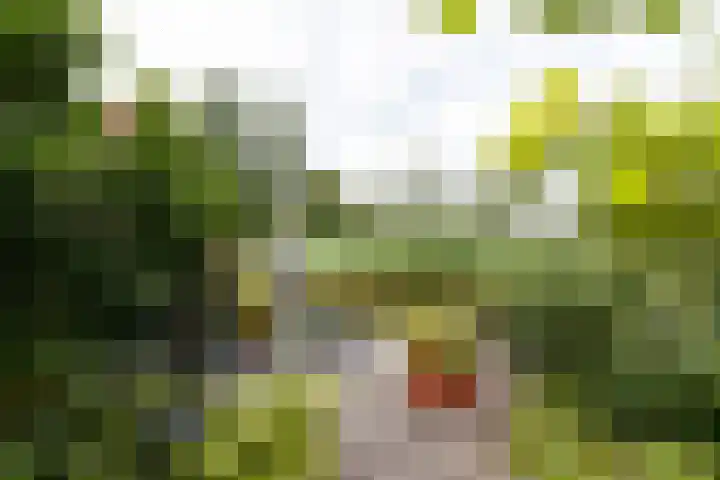 Kleine Hof 46 Vleuten thumbnail 11