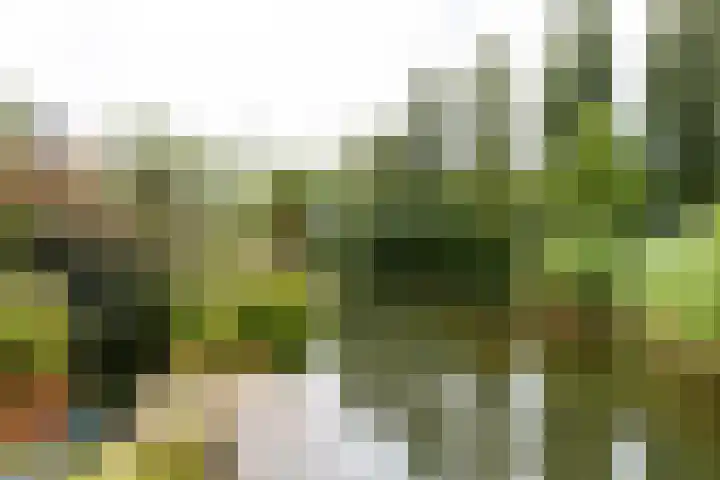 Kleine Hof 46 Vleuten thumbnail 12