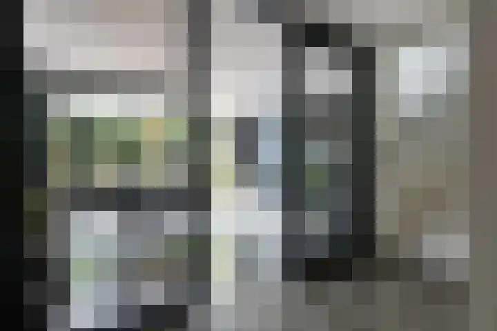 Kleine Hof 46 Vleuten thumbnail 13