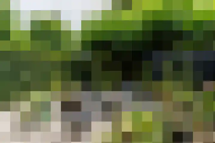 Kleine Hof 46 Vleuten thumbnail 19