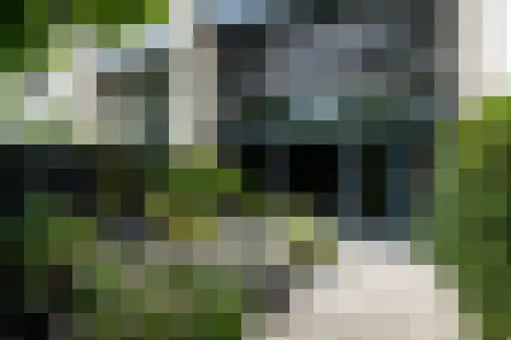 Kleine Hof 46 Vleuten thumbnail 20