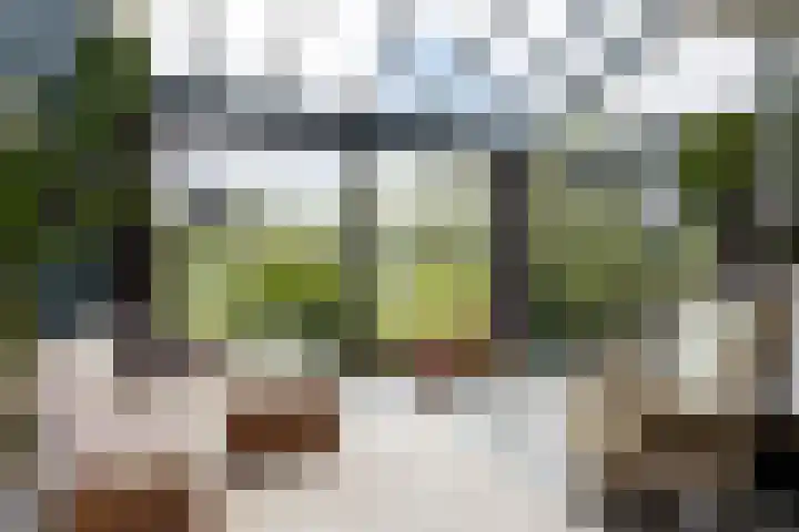 Kleine Hof 46 Vleuten thumbnail 21