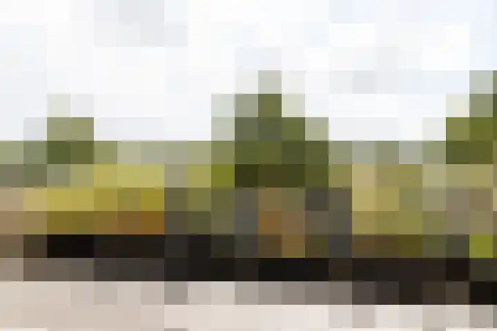 Kleine Hof 46 Vleuten thumbnail 22