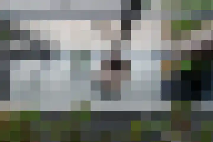 Kleine Hof 46 Vleuten thumbnail 23