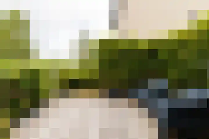 Kleine Hof 46 Vleuten thumbnail 29