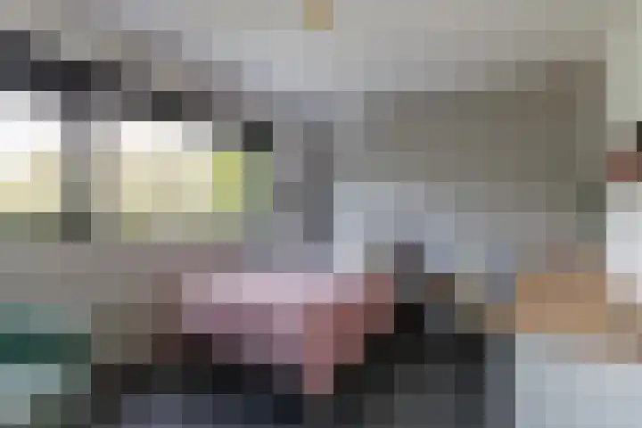 Kleine Hof 46 Vleuten thumbnail 36