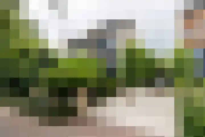 Kleine Hof 46 Vleuten thumbnail 39