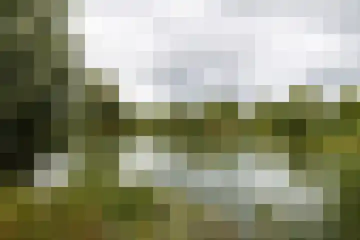 Kleine Hof 46 Vleuten thumbnail 40
