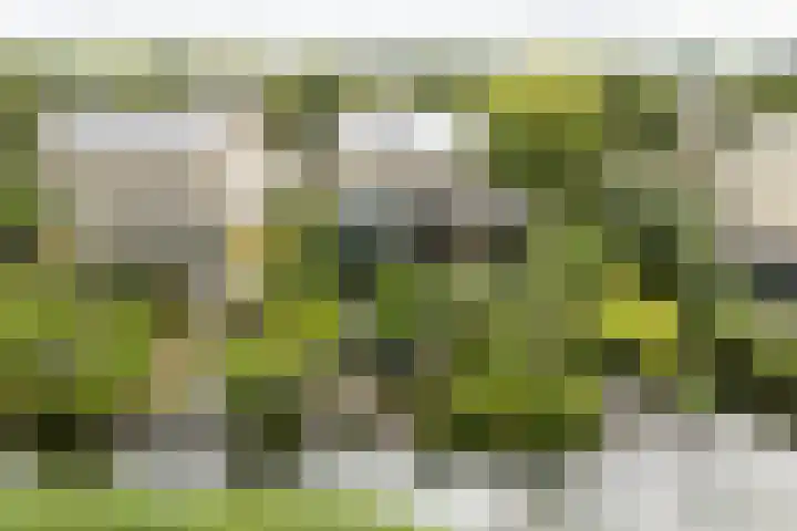 Kleine Hof 46 Vleuten thumbnail 41