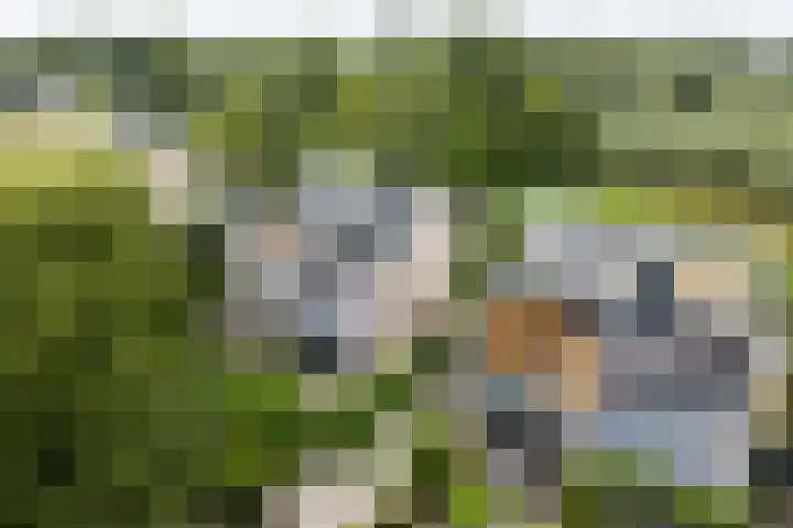 Kleine Hof 46 Vleuten thumbnail 42