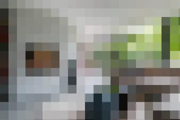 Kleine Hof 46 Vleuten thumbnail 5