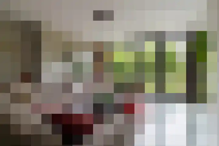 Kleine Hof 46 Vleuten thumbnail 6