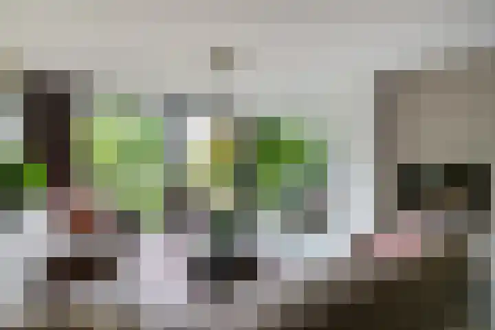 Kleine Hof 46 Vleuten thumbnail 7