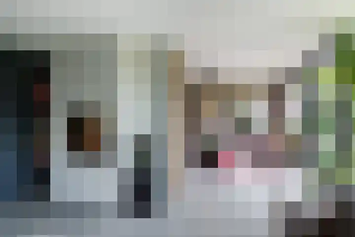 Kleine Hof 46 Vleuten thumbnail 8