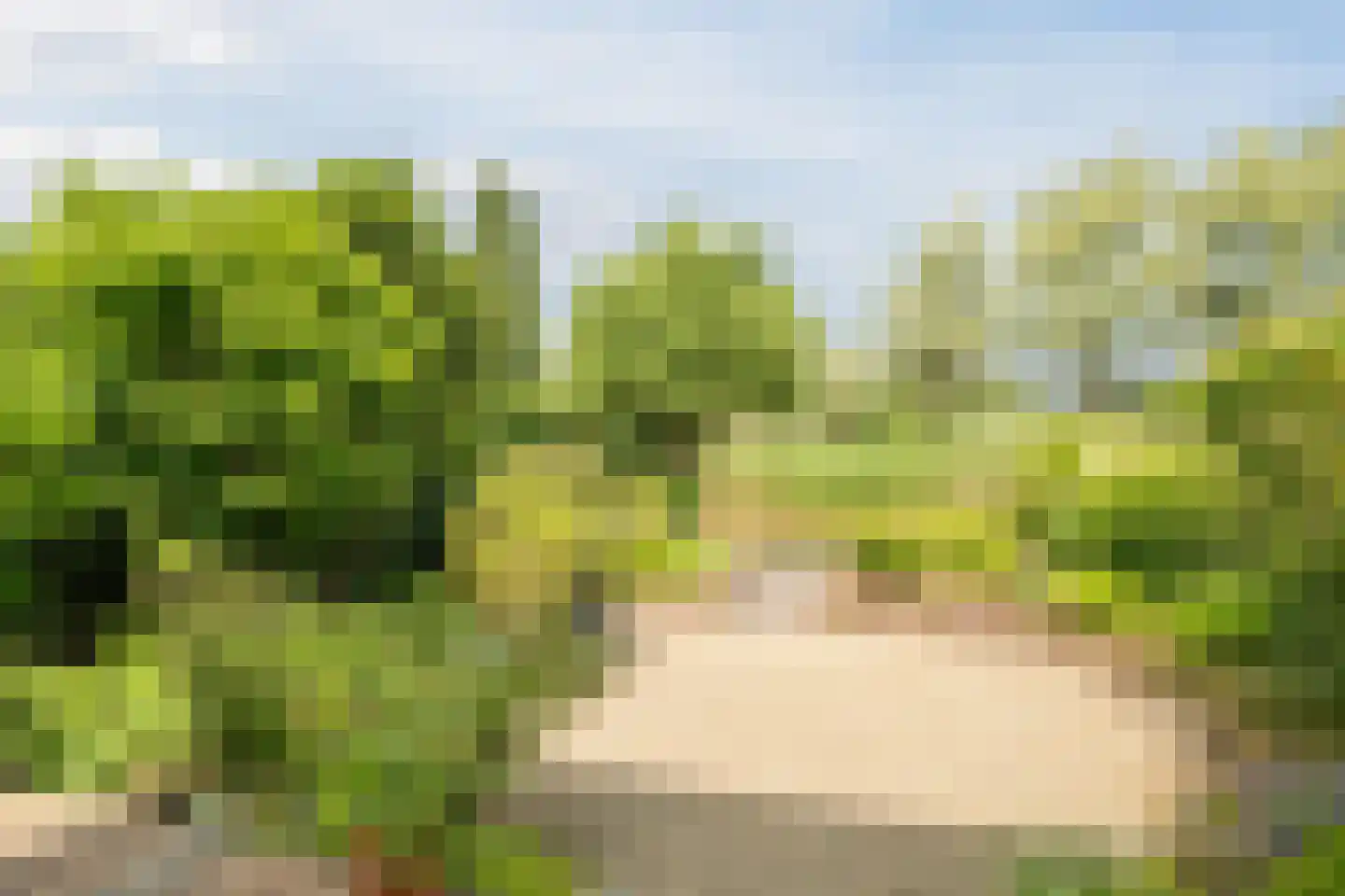 Kleine Hof 48 Vleuten thumbnail 10