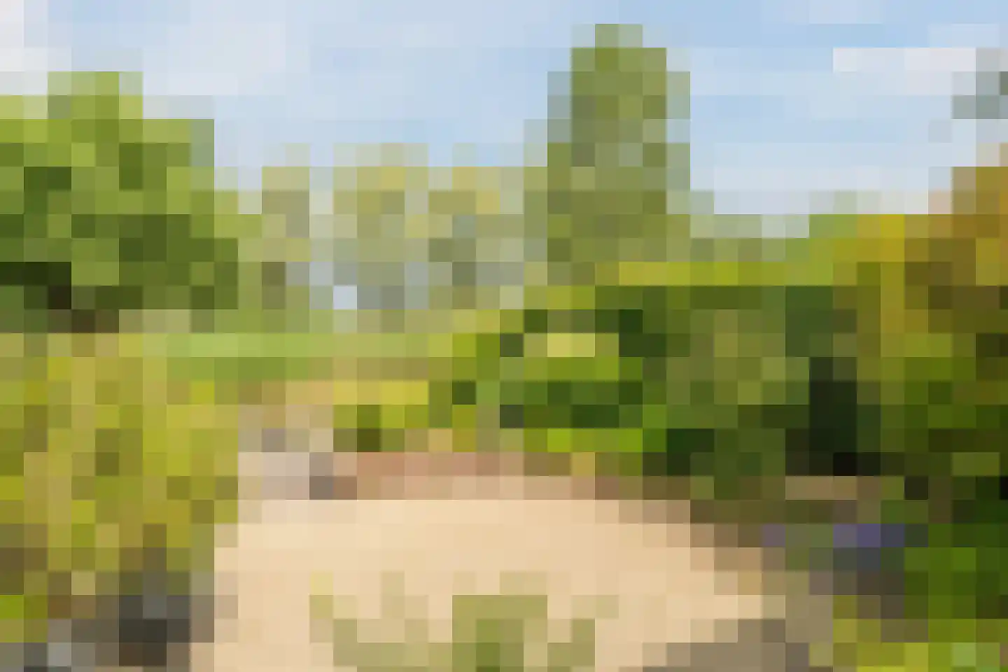 Kleine Hof 48 Vleuten thumbnail 11