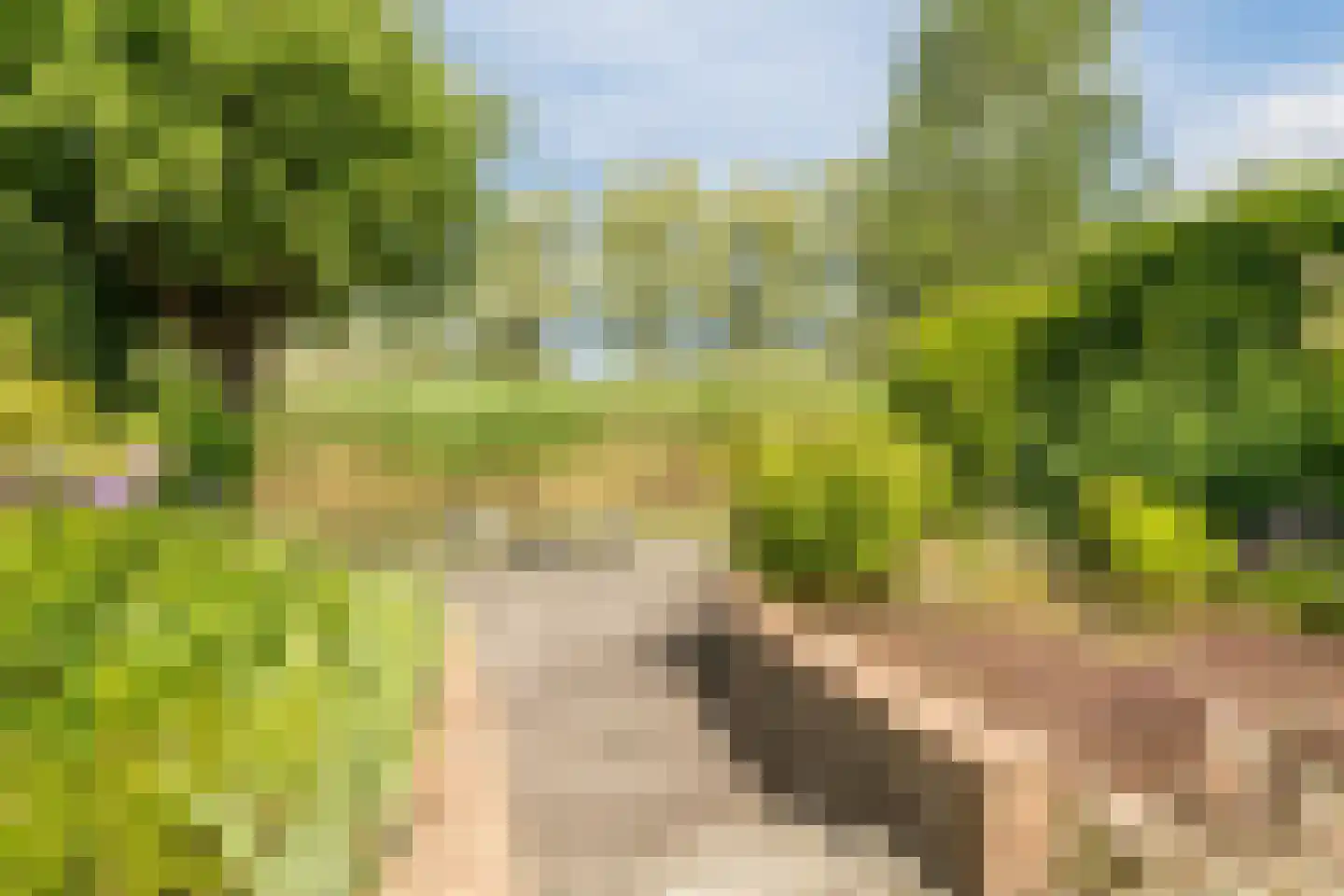 Kleine Hof 48 Vleuten thumbnail 12