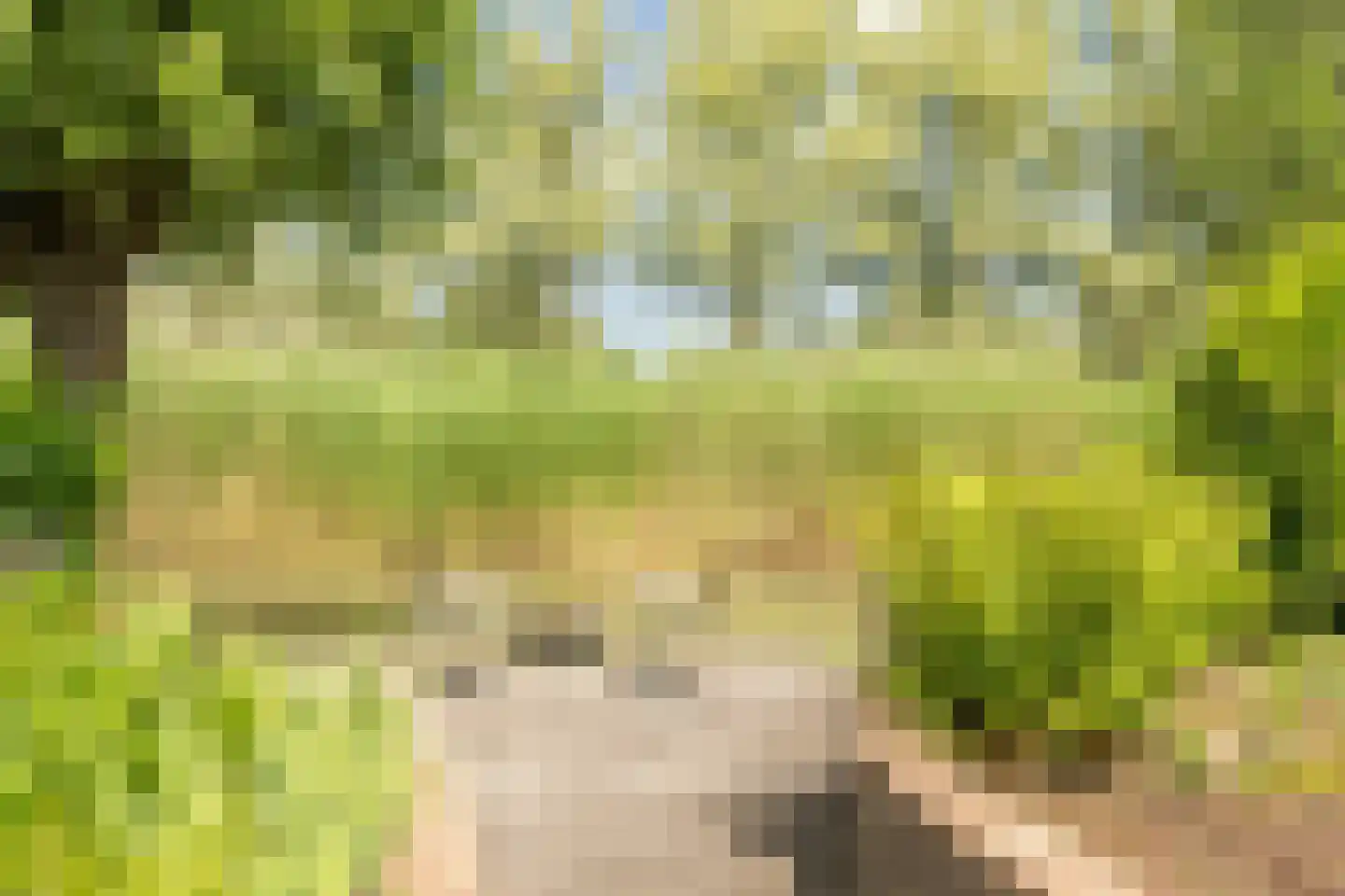 Kleine Hof 48 Vleuten thumbnail 13