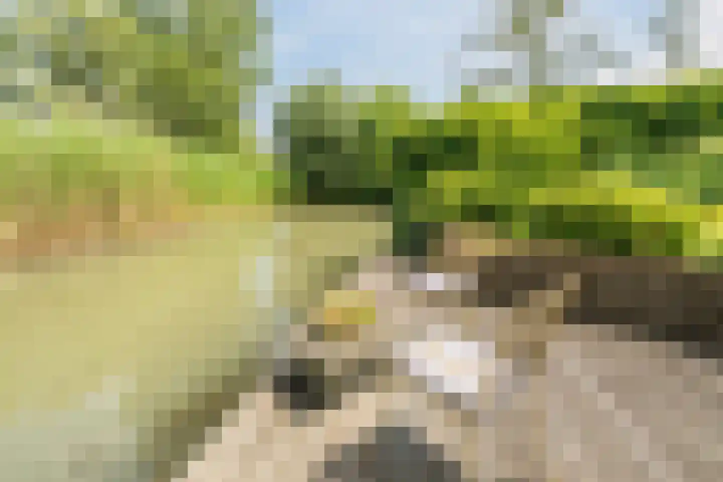 Kleine Hof 48 Vleuten thumbnail 14