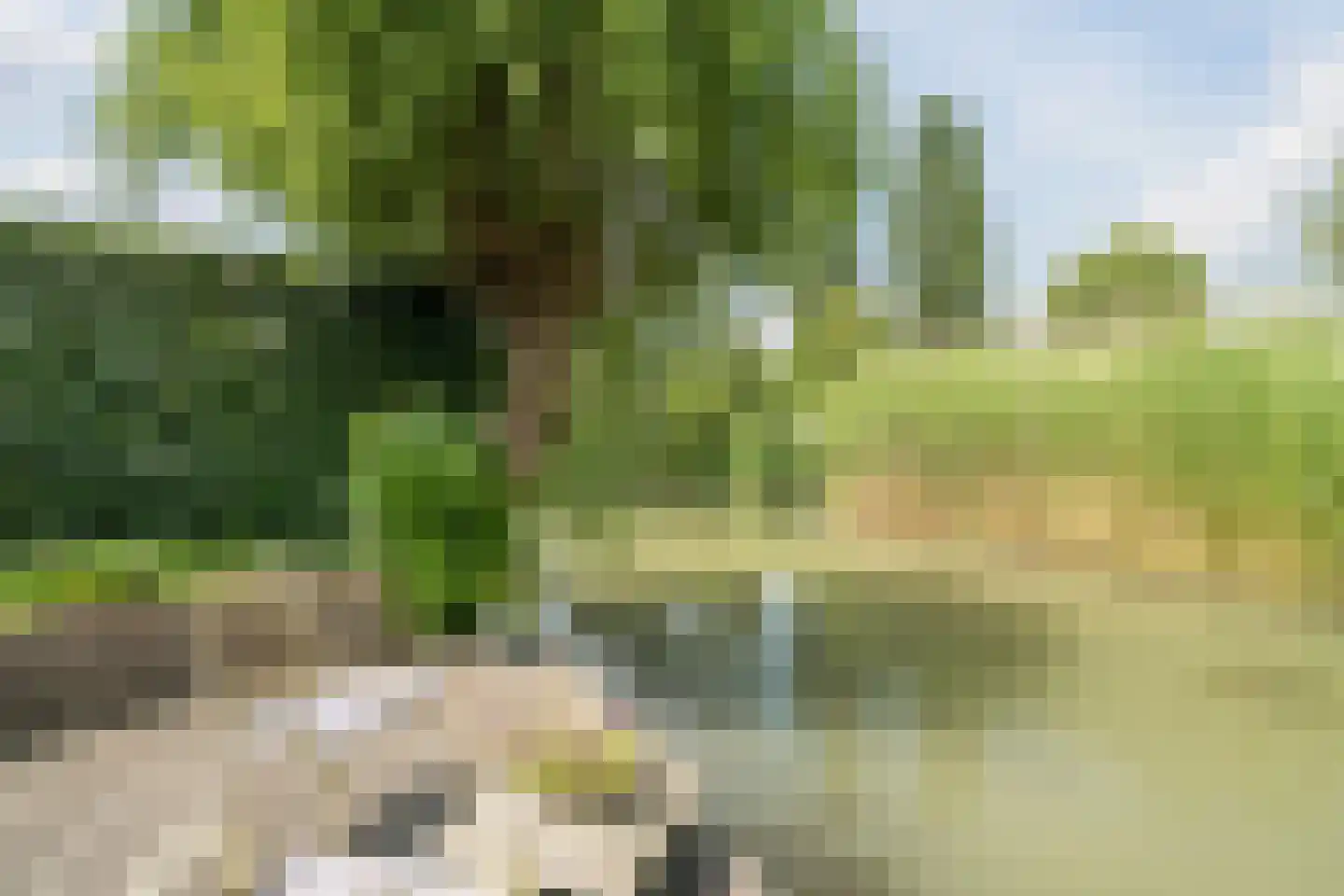 Kleine Hof 48 Vleuten thumbnail 15
