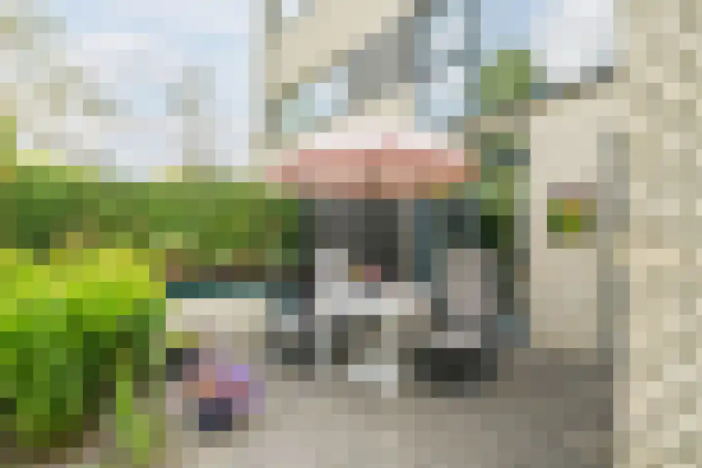 Kleine Hof 48 Vleuten thumbnail 18