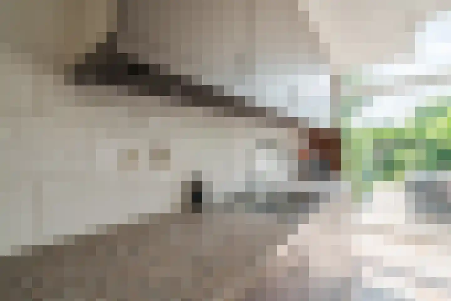 Kleine Hof 48 Vleuten thumbnail 22
