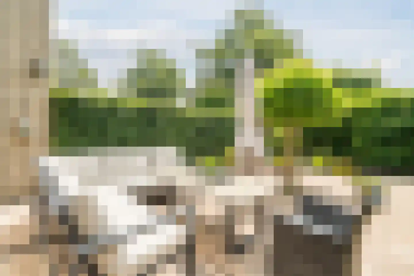 Kleine Hof 48 Vleuten thumbnail 25