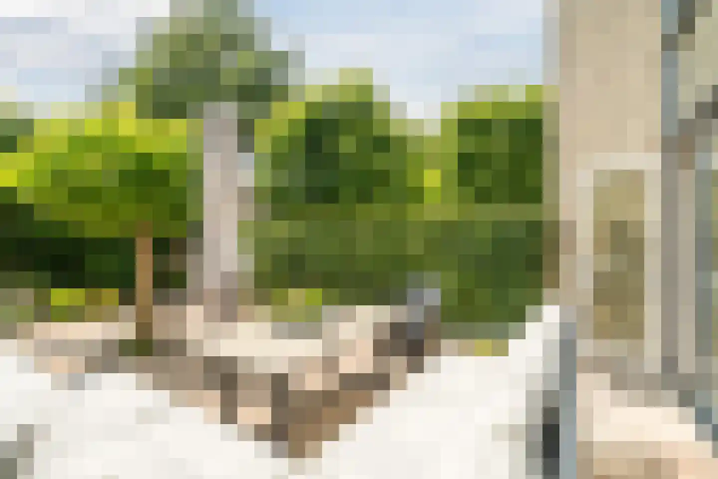 Kleine Hof 48 Vleuten thumbnail 26