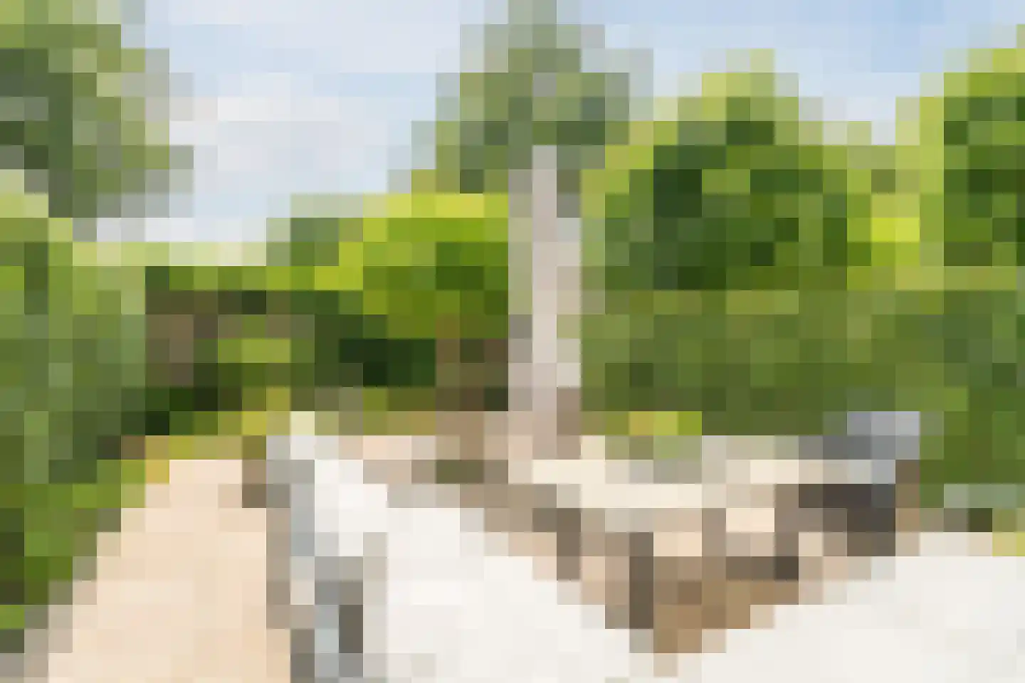 Kleine Hof 48 Vleuten thumbnail 27