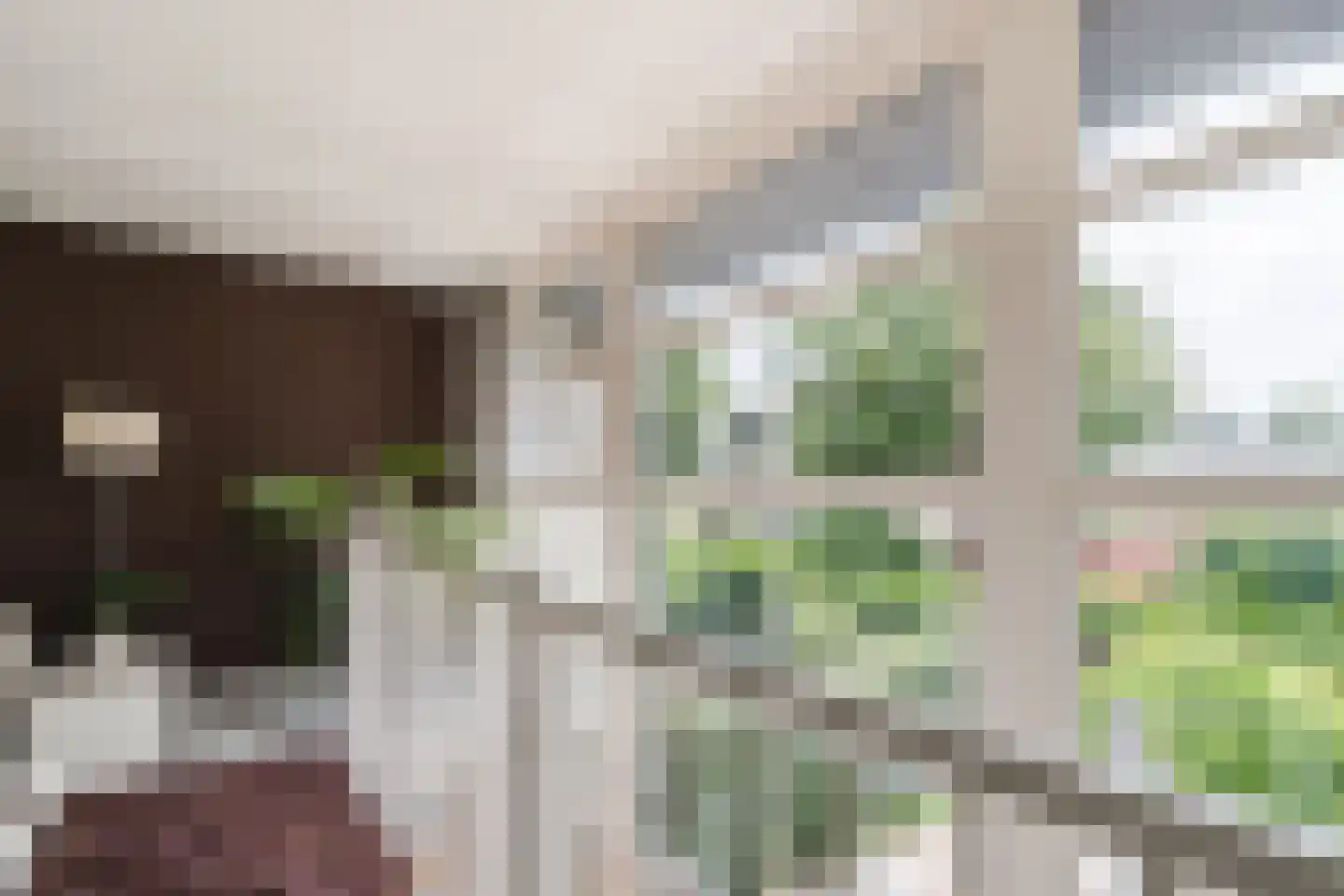 Kleine Hof 48 Vleuten thumbnail 37