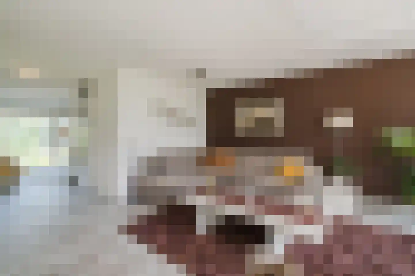 Kleine Hof 48 Vleuten thumbnail 38
