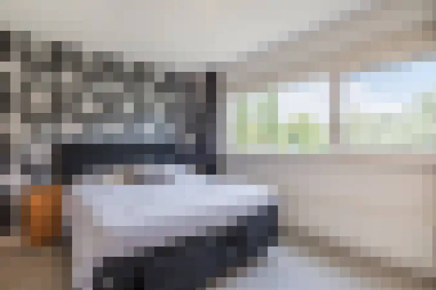Kleine Hof 48 Vleuten thumbnail 46