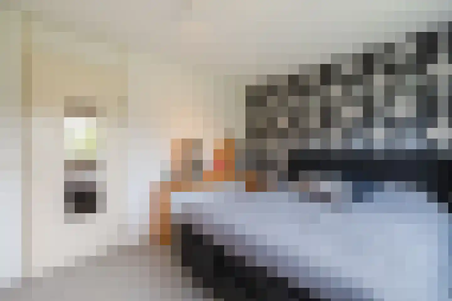 Kleine Hof 48 Vleuten thumbnail 47