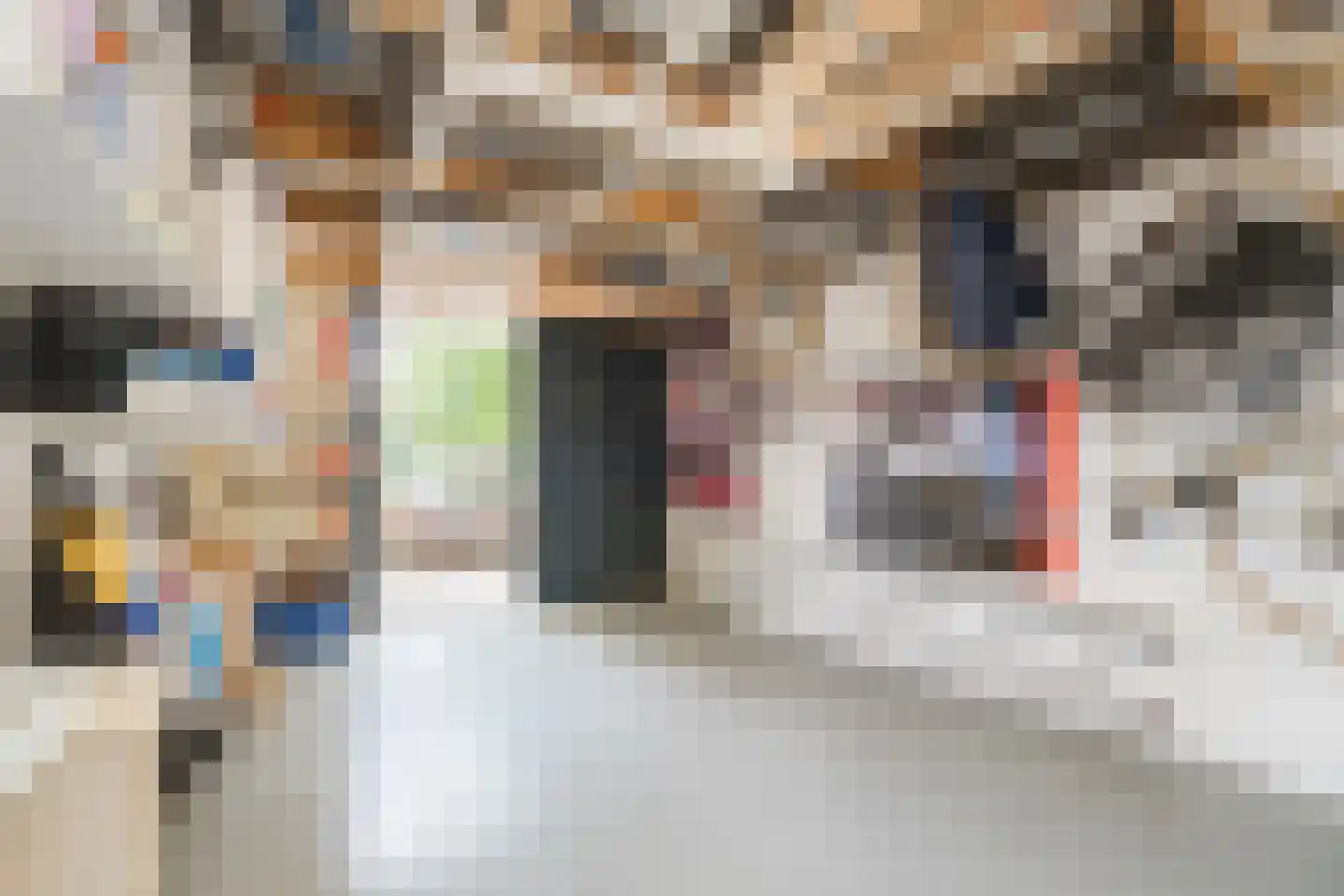 Kleine Hof 48 Vleuten thumbnail 65