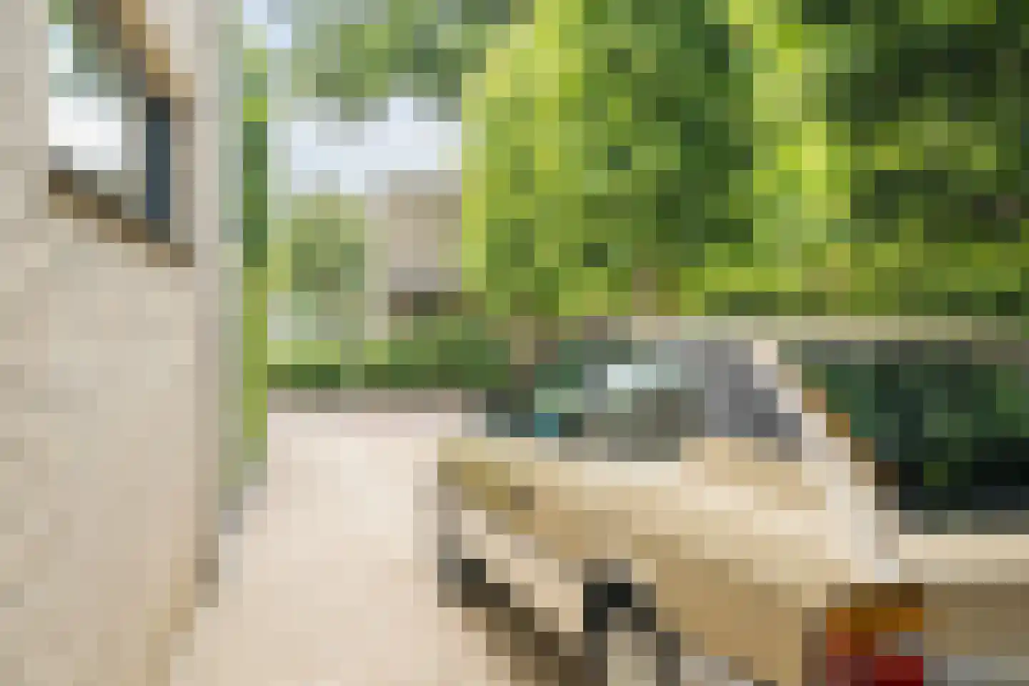Kleine Hof 48 Vleuten thumbnail 66
