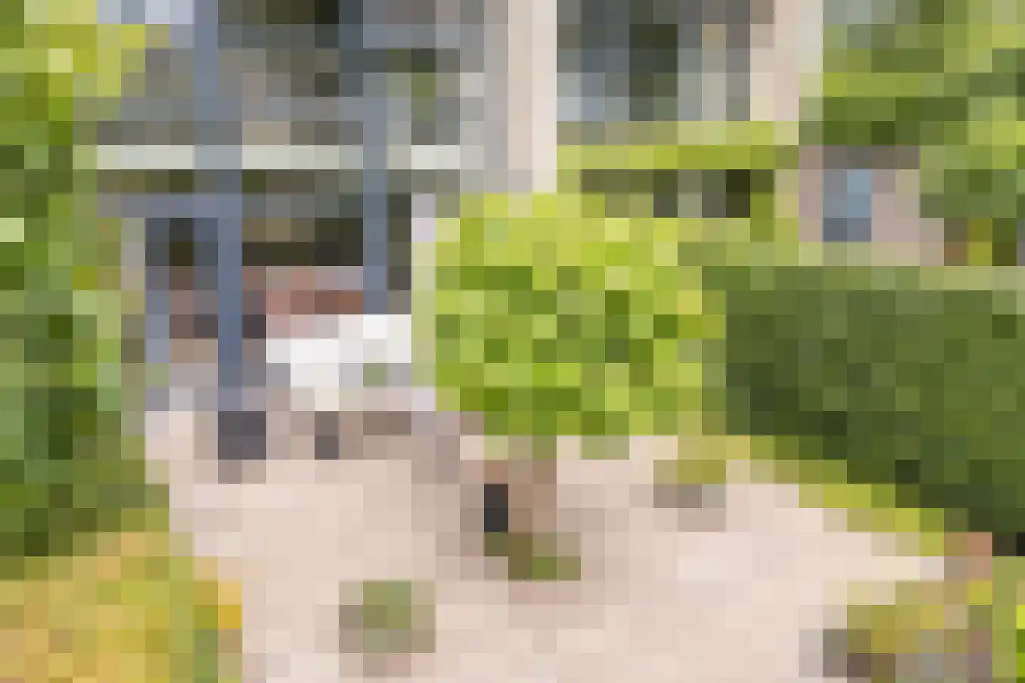 Kleine Hof 48 Vleuten thumbnail 69